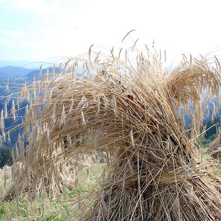 Farm Stay Rotovnik - Plesnik Slovenj Gradec Eksteriør billede