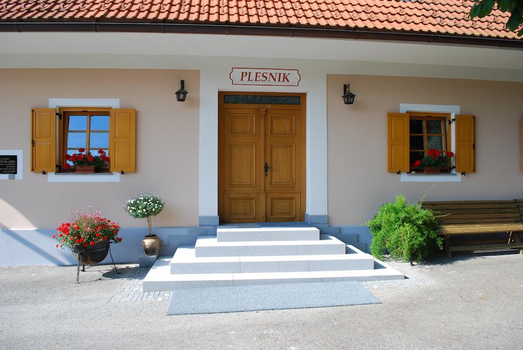 Farm Stay Rotovnik - Plesnik Slovenj Gradec Eksteriør billede